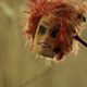Image for article titled Orphan Black's PSA of the Week: Don't bury your dead clone in a shallow grave